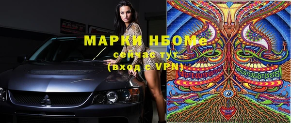 сатива Сатка